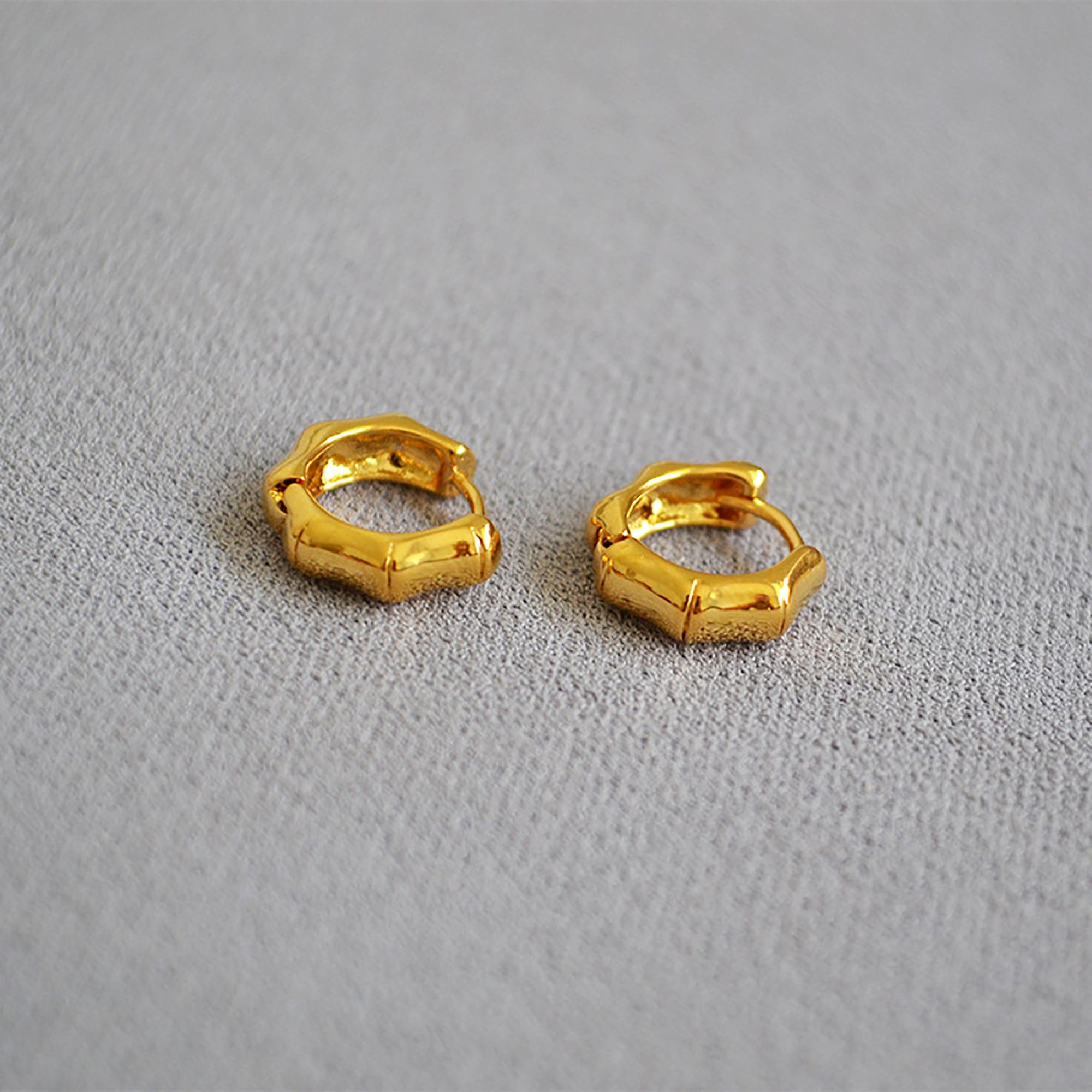 18K Gold Plated Hoop Earrings Gift wedding influencer styling KOL / Youtuber / Celebrity / Fashion Icon